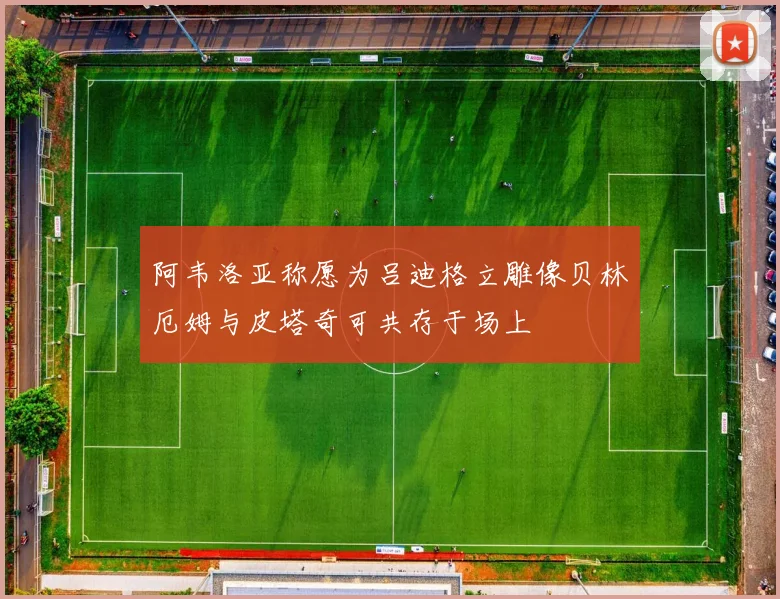 阿韦洛亚称愿为吕迪格立雕像贝林厄姆与皮塔奇可共存于场上